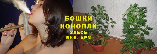 бутират Елабуга