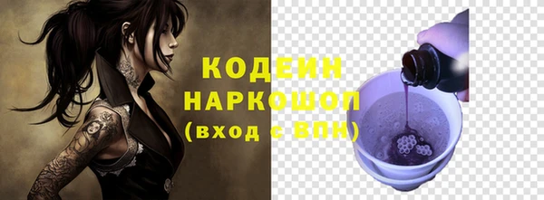 молекула духа Ельня