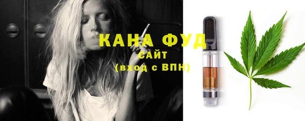 молекула духа Ельня