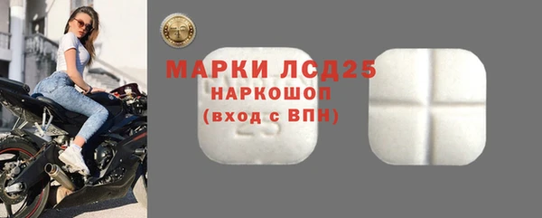 молекула духа Ельня
