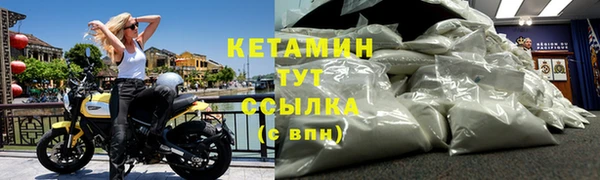 молекула духа Ельня