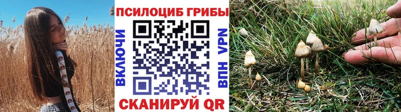 Купить где  Кузнецк  Галлюциногенные грибы MAGIC MUSHROOMS 